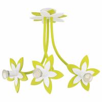 Потолочная люстра Nowodvorski Flowers 6898