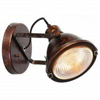Спот Favourite Industria 1898-1W фото Спот Favourite Industria 1898-1W