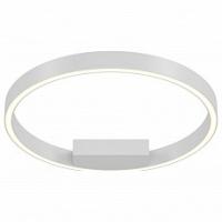 Накладной светильник Maytoni Rim MOD058CL-L25W4K фото Накладной светильник Maytoni Rim MOD058CL-L25W4K. Фото №1