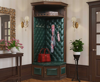 Прихожая Благо 5 Б 5.9-2. Фото