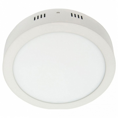 Накладной светильник Feron AL504 27921. Фото №1