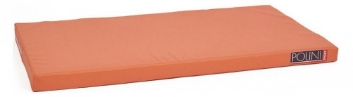 Мат Polini Sport,. Фото №1