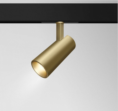 Светильник на штанге Maytoni Technical Track TR019-2-15W3K-MG фото Светильник на штанге Maytoni Technical Track TR019-2-15W3K-MG. Фото №2