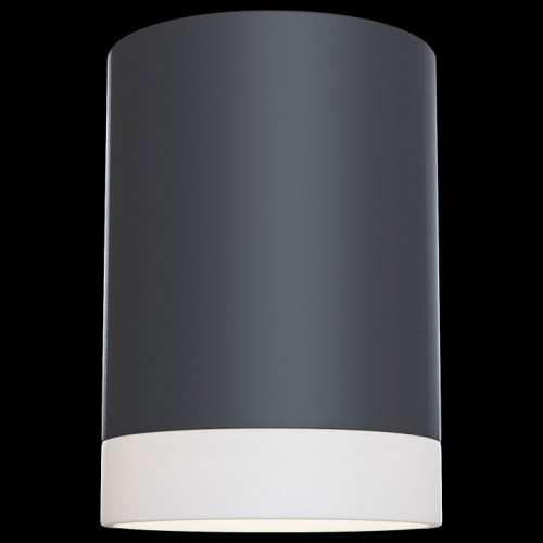 Накладной светильник Maytoni Pauline C008CW-01B. Фото №2