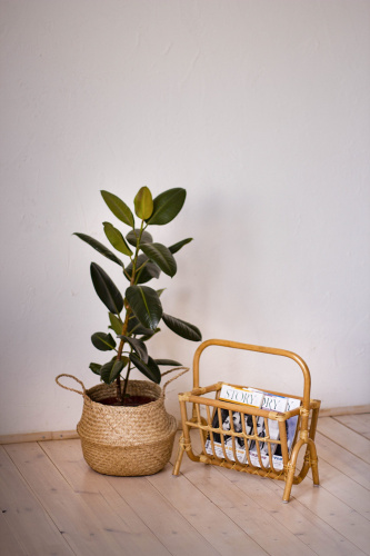 Газетница 17/13 фото Газетница 17/13. Фото №7