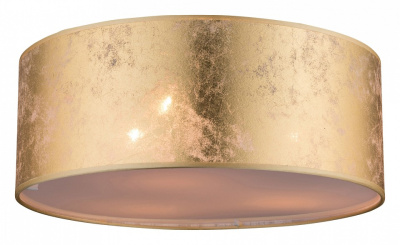 Накладной светильник Globo Amy 15187D. Фото №2