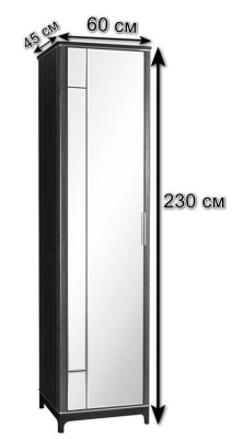 Шкаф 1-дверный с ЗЕРКАЛОМ (без полок) Модерн Гладстоун. Фото
