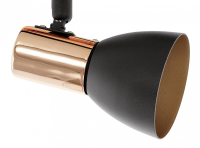 Спот Eglo Barnham 94587. Фото