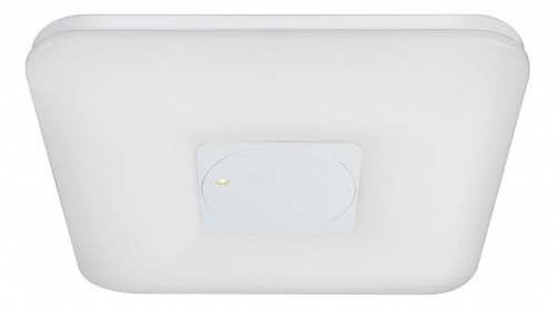 Накладной светильник Globo Felion 41323. Фото №1