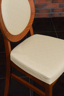 Стул  Арго-М. Фото