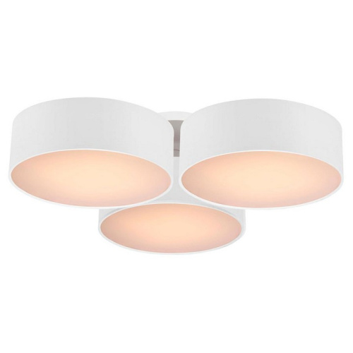 Потолочная люстра Favourite Cerchi 1515-6C. Фото №1