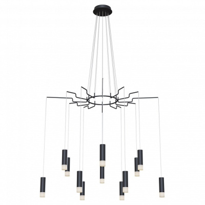 Подвесная люстра Maytoni Davida MOD035PL-12B. Фото №2